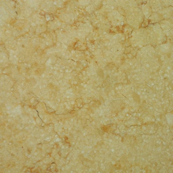silvia oro tipo r